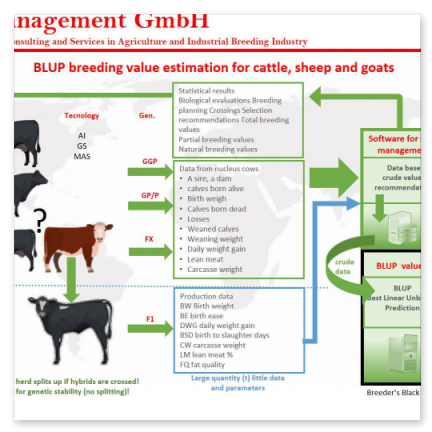 Breeding value estimation - GRManagement GmbH